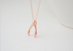 Lucky  silver vertical wishbone necklace - simple rose gold, gold, or silver necklace with wishbone pendant - 1167